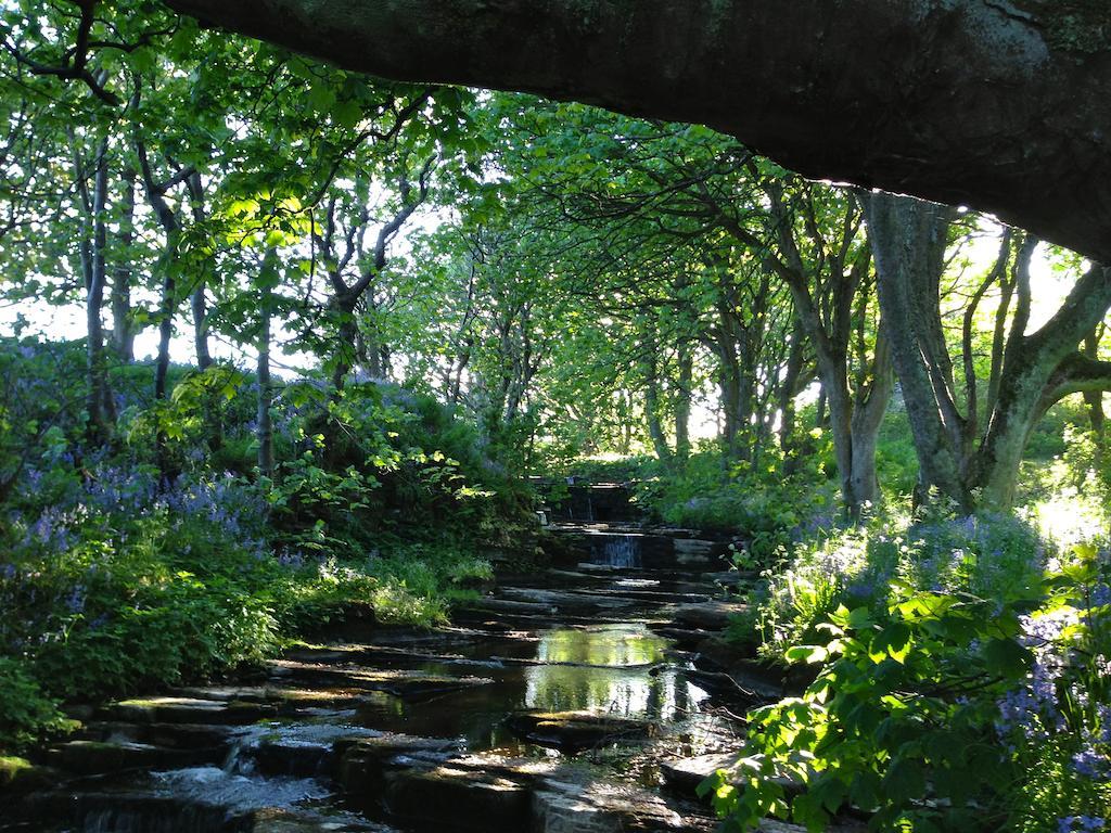 Woodwick House Panzió Orkney Kültér fotó